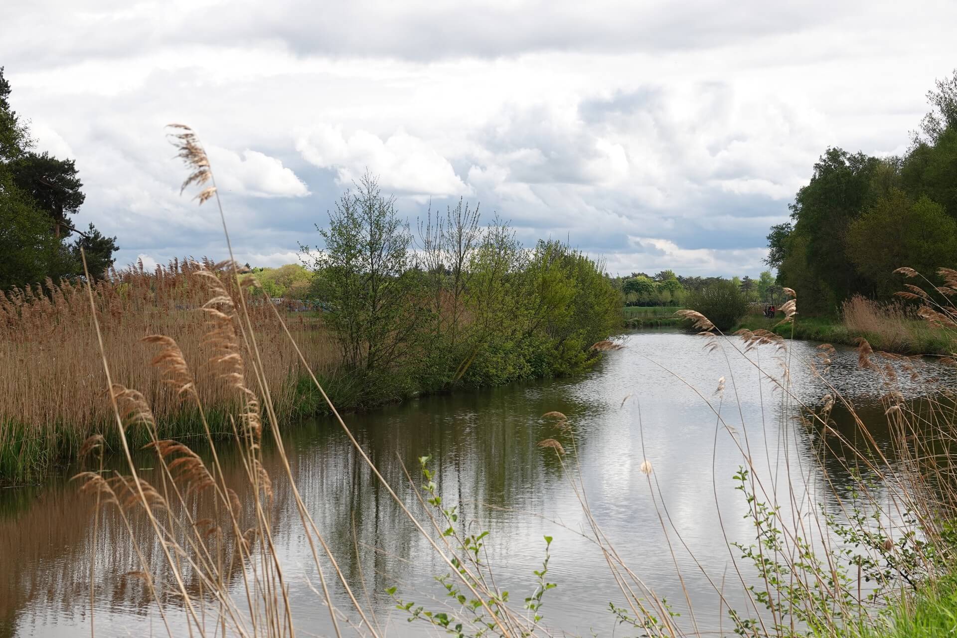 IVN Jubileum Landschapswandeling Markdal - Grensland De Baronie